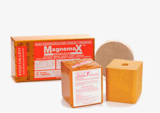 Magnemax mineral azufrado