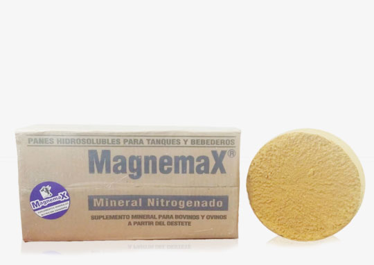 panes nitrogenados magnemax