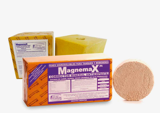 Magnemax antiempaste